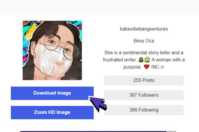 download instagram profile