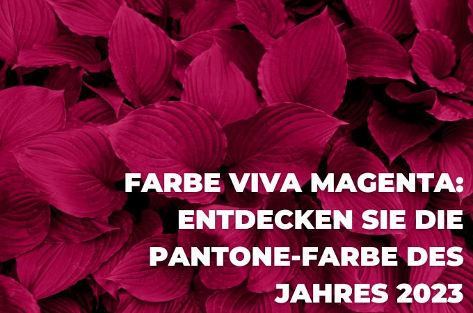 Pantone-Farbe 2023